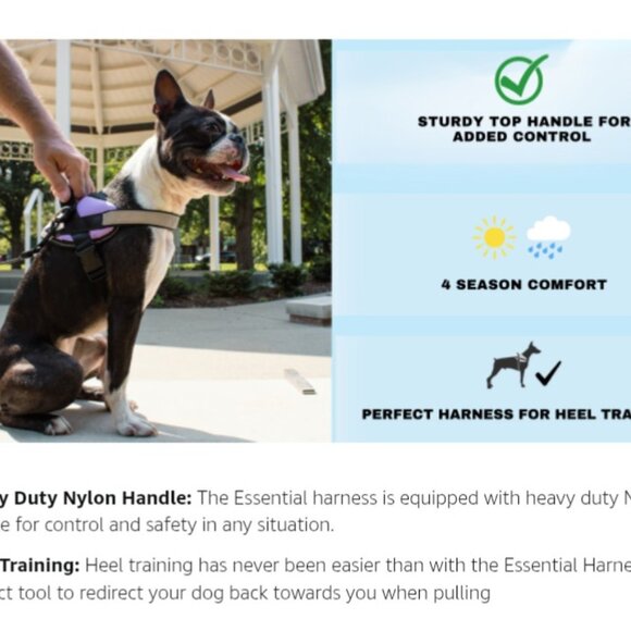 NWT ShawnCo Essential Dog Harness in Sea foam M Medium - Picture 6 of 11